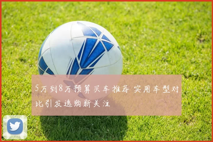 5万到8万预算买车推荐 实用车型对比引发选购新关注