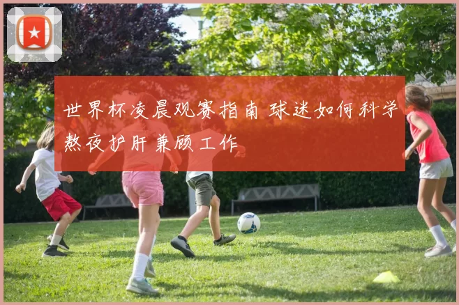 世界杯凌晨观赛指南 球迷如何科学熬夜护肝兼顾工作