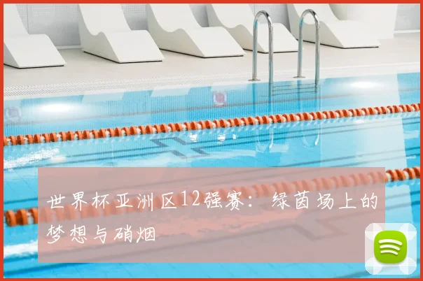 世界杯亚洲区12强赛：绿茵场上的梦想与硝烟