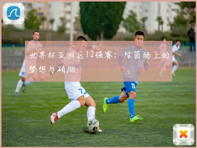 世界杯亚洲区12强赛：绿茵场上的梦想与硝烟